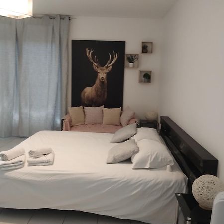 Chaleureux Studio Toulouse Eksteriør bilde