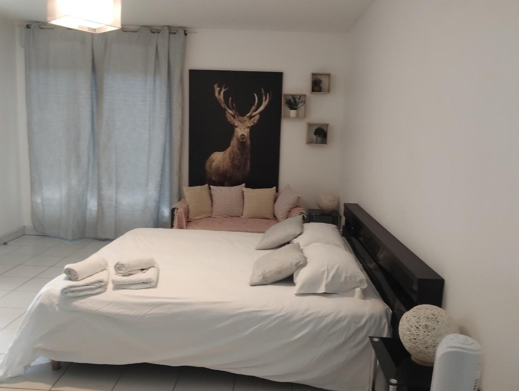 Chaleureux Studio Toulouse Eksteriør bilde